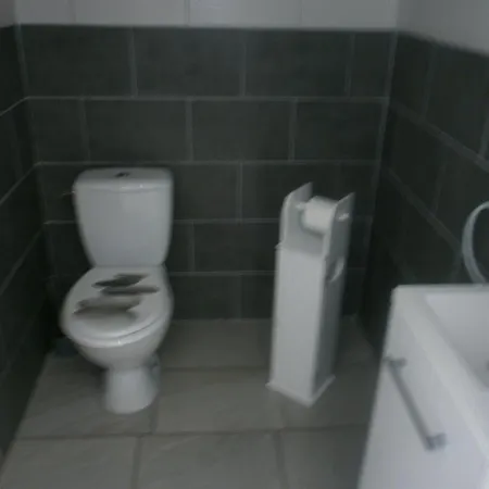 La Pecherie Bord De 4* لا بلين-سور-مير